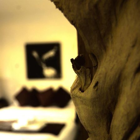 Cocooning Hotel Bophut Eksteriør billede
